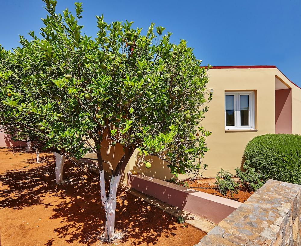 Everest Apartments And Suites Stalida Dış mekan fotoğraf